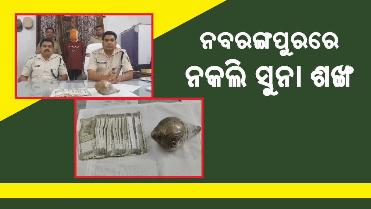 fake gold conch trade in nabarangpur