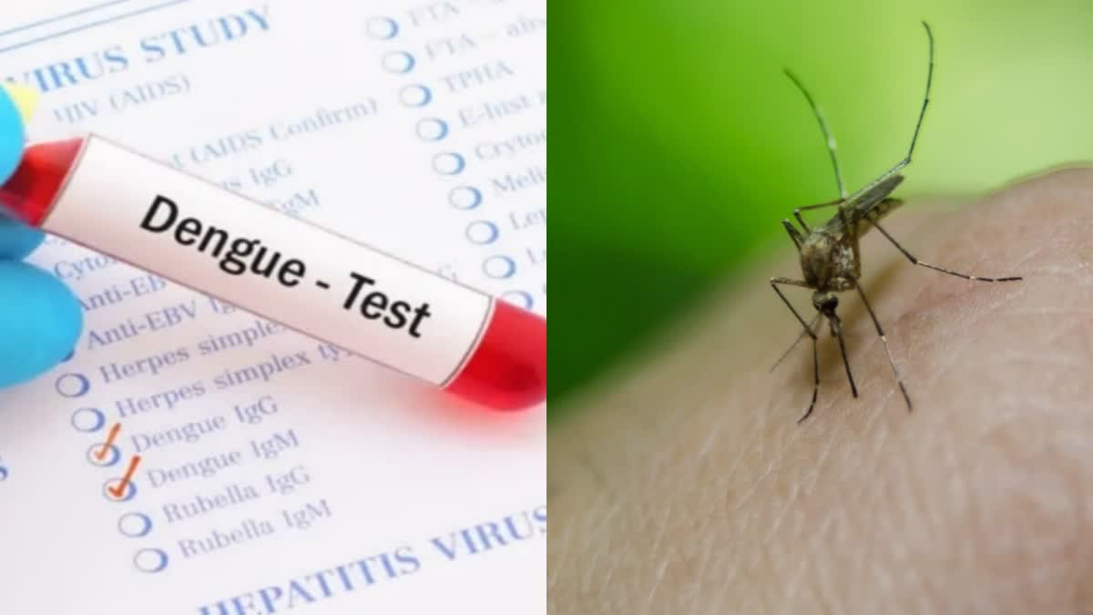 six-people-affected-by-dengue-fever-in-cuddalore