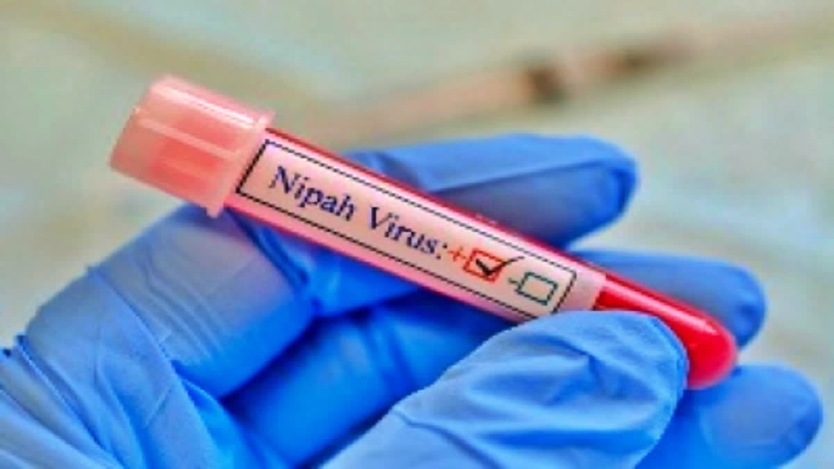 केरळमधील निपाह व्हायरसच्या वाढत्या धोक्यावर केंद्रीय आरोग्य मंत्रालयानं घेतला आढावा