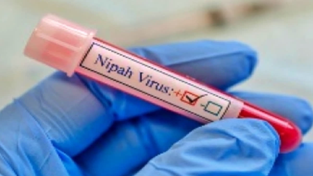 Union Health Ministry reviews Nipah virus response in Kerala; Assures comprehensive measures for Containment