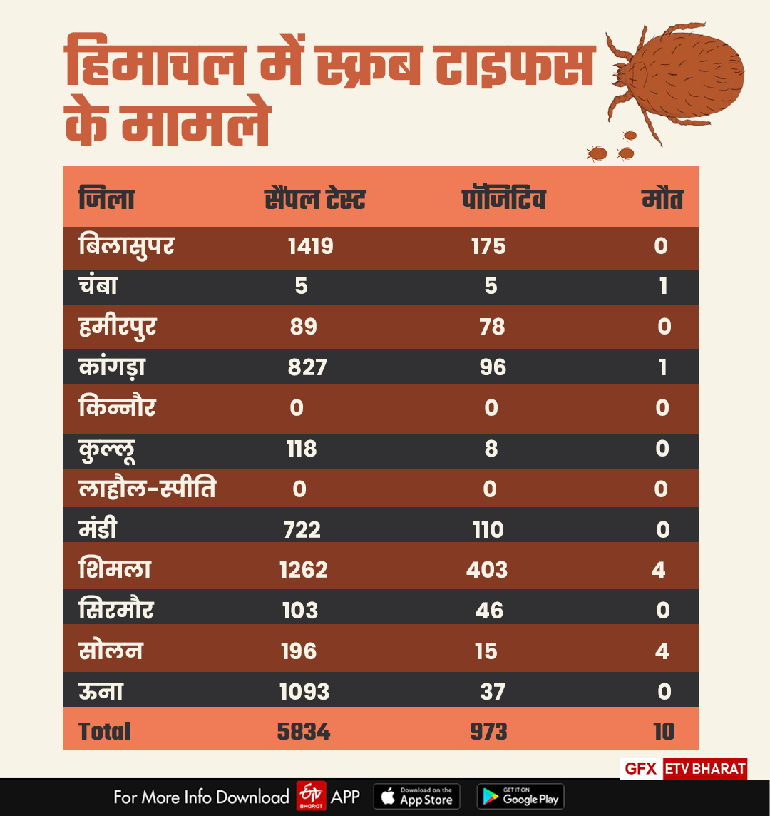 Scrub typhus cases in himachal