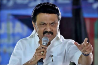 "Expert in diverting real issues": TN CM Stalin slams BJP on 'Sanatan Dharma' remark row