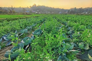 Prakritik Kheti Khushal Kisan Yojana in Himachal