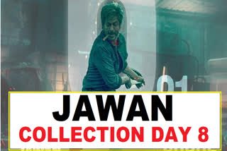 Jawan Collection Day 8