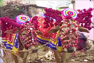 Polala Festival Celebrations