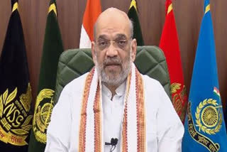 Amit Shah Comments on Hindi Diwas 2023