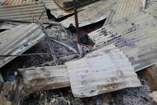 A shed was set on fire by unknown persons during the night