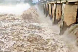 Taliperu Project Water Level Today