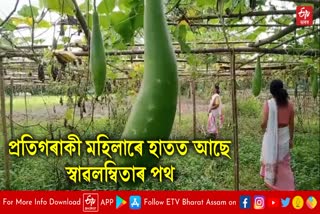 Three women from dhemaji making themselves economically independent through farming