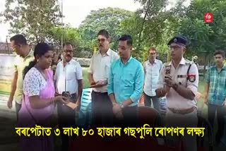 Planting of Trees in Barpeta