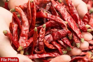 Adulterated Chilli: