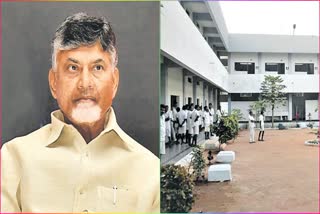 Concern over Chandrababu Naidu's safety