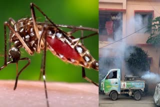 dengue Case Increase in Bihar