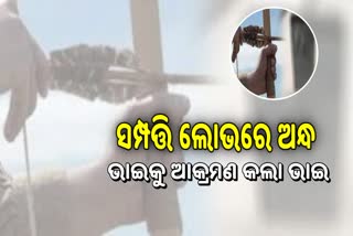 ସମ୍ପତ୍ତି କଲା ଅନ୍ଧ