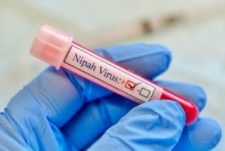 Centre On Nipah Virus Outbreak  Nipah Virus Outbreak  Nipah Virus  Nipah  പ്രതിരോധ നടപടികൾ  ആരോഗ്യ മന്ത്രാലയം  കേന്ദ്ര ഇടപെടല്‍ പ്രകീര്‍ത്തിച്ച്  കേന്ദ്ര സഹമന്ത്രി  മന്ത്രി  Dr Bharati Pravin Pawar  NIV  ICMR  ഭാരതി പ്രവീണ്‍ പവാര്‍  പ്രധാനമന്ത്രി നരേന്ദ്രമോദി  പ്രധാനമന്ത്രി  നരേന്ദ്രമോദി