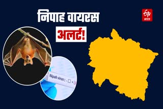 Nipah Virus in Uttarakhand