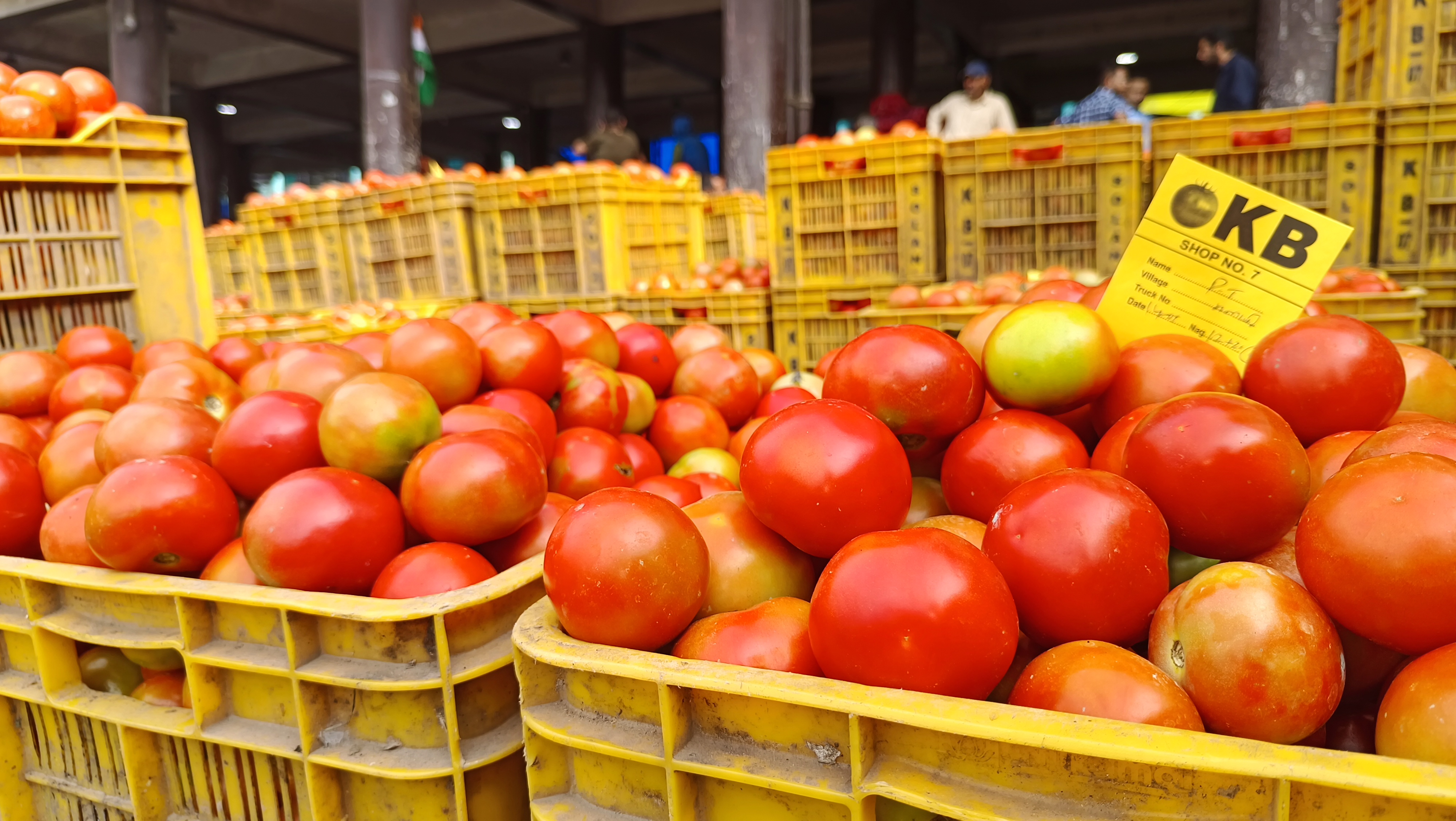 Tomato Price In Himachal