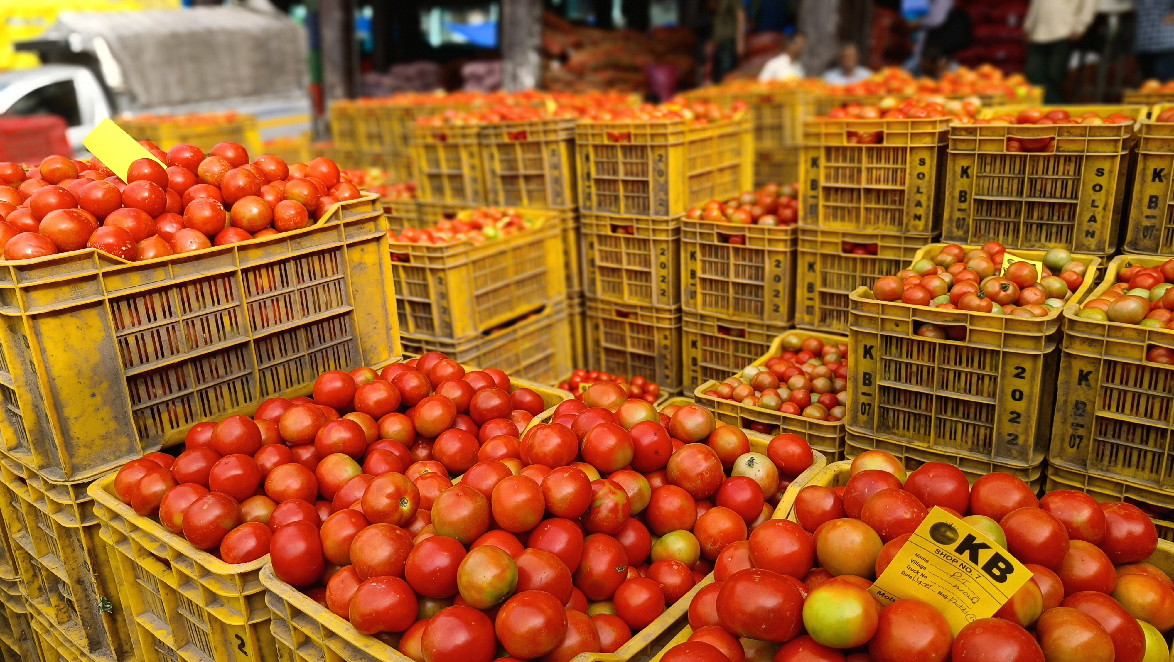 Tomato Price In Himachal