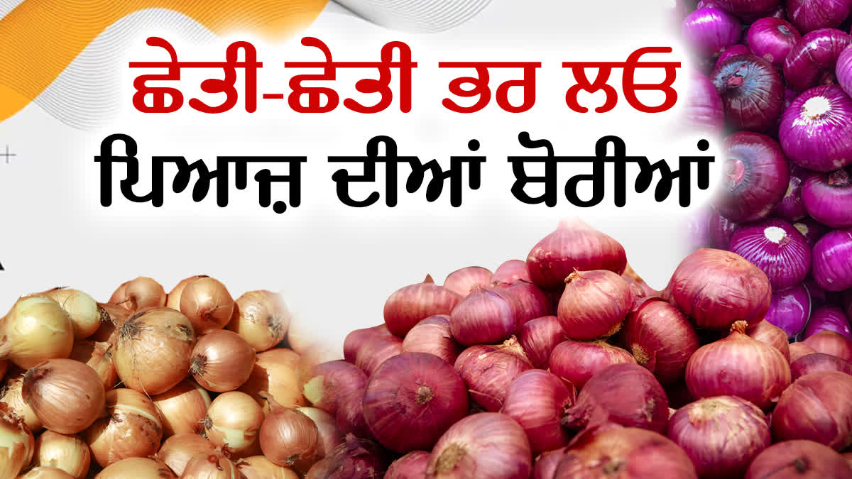 ONION PRICES DROP