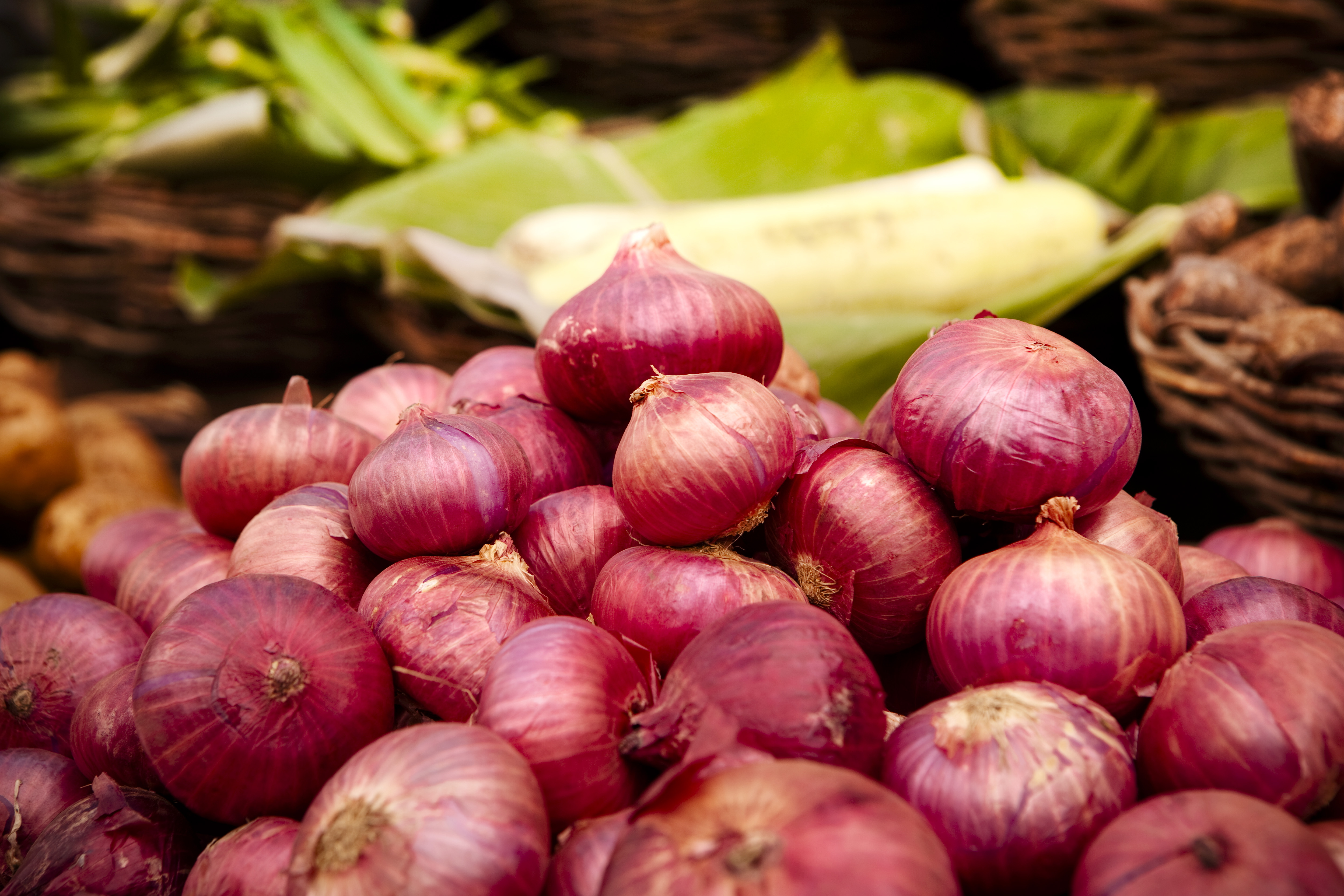 ONION PRICES DROP