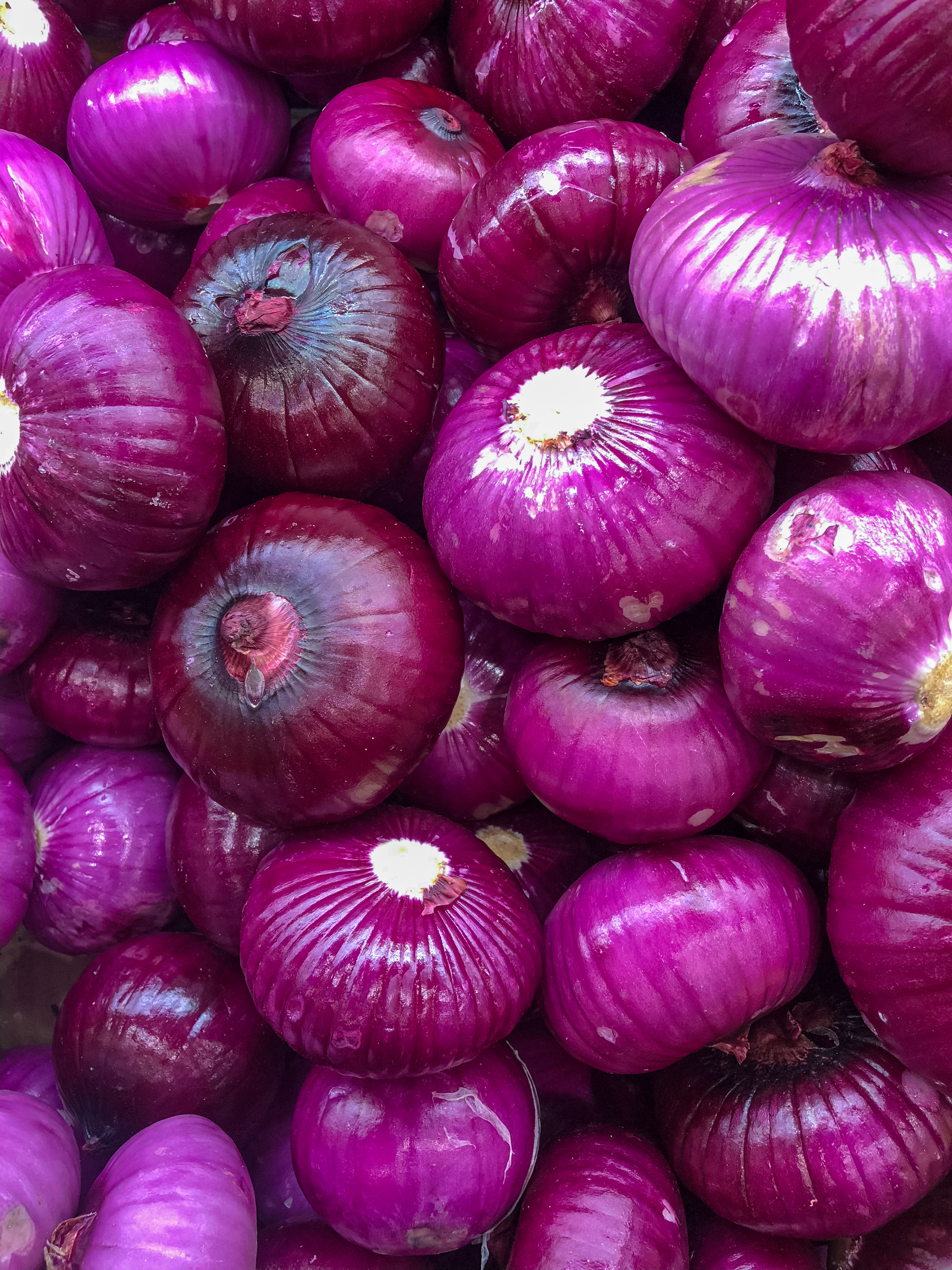 ONION PRICES DROP