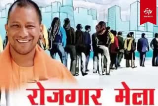 up jobs employment yogi government rojgar mela firozabad employment 2024