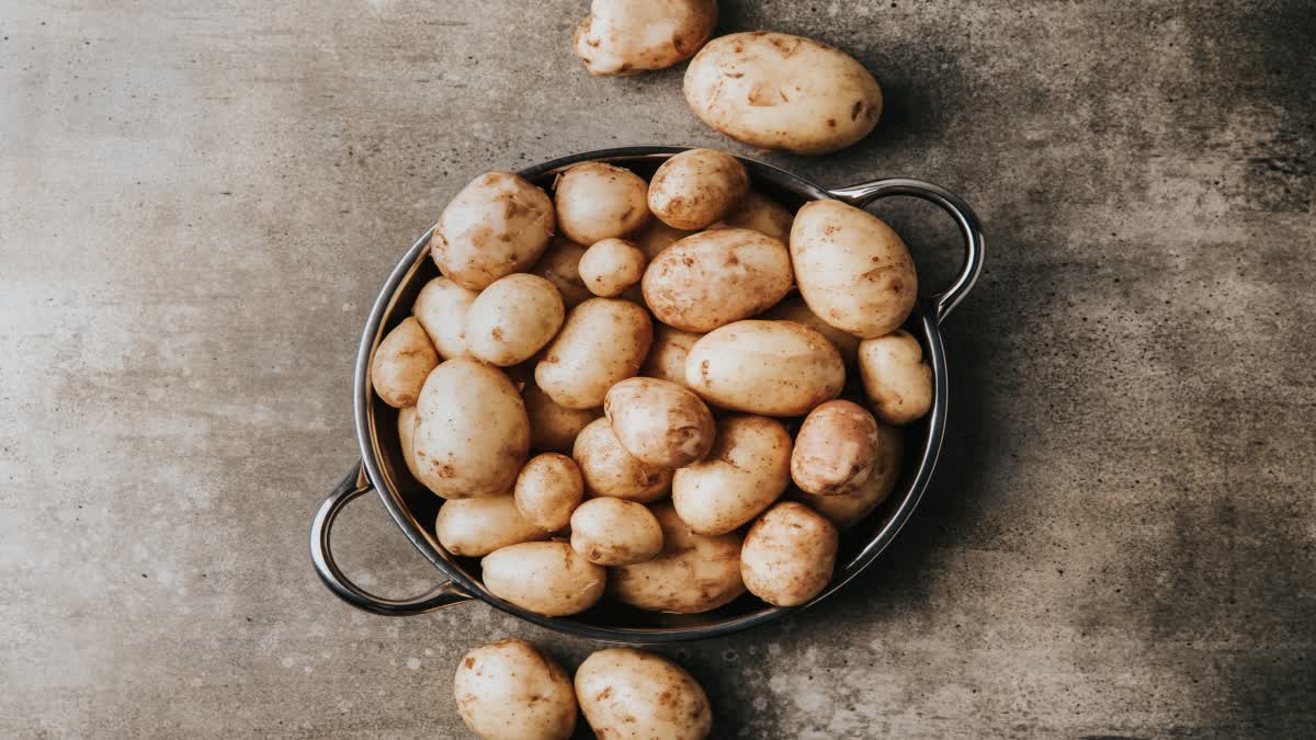 Potato for Health News