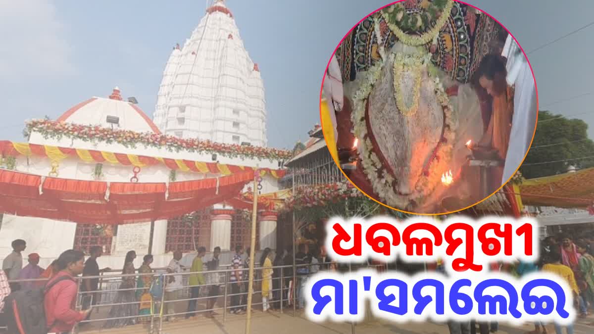 ଧବଳମୁଖୀ ବେଶରେ ଦର୍ଶନ ଦେଲେ ମାଆ ସମଲେଶ୍ବରୀ