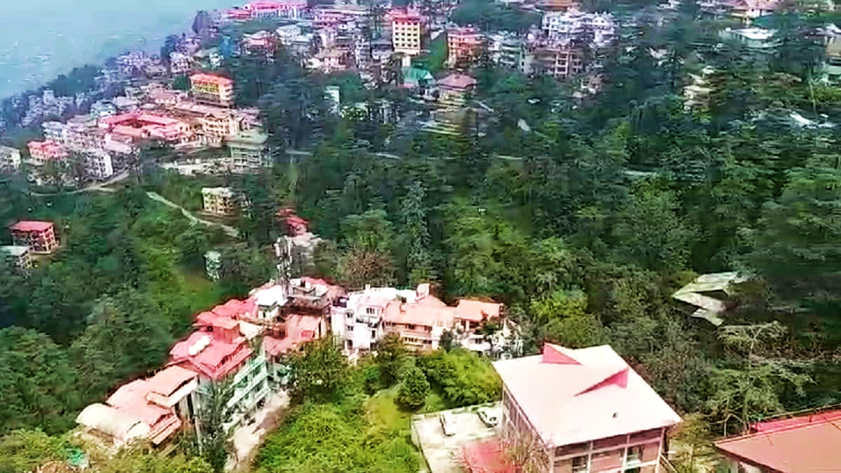 Shimla Green Area