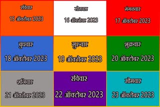 Shardiya Navratri 2023  Nine Colours