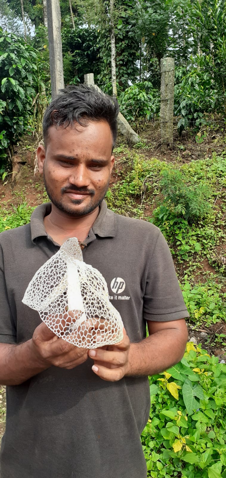 A strange mushroom found in Chikkamgaluru