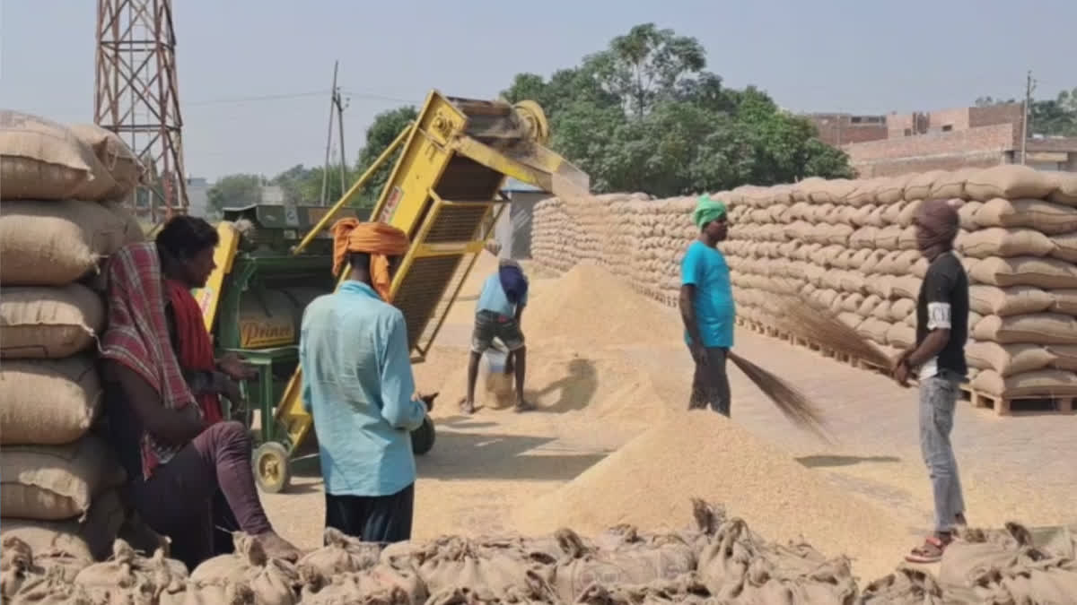 farmers strike