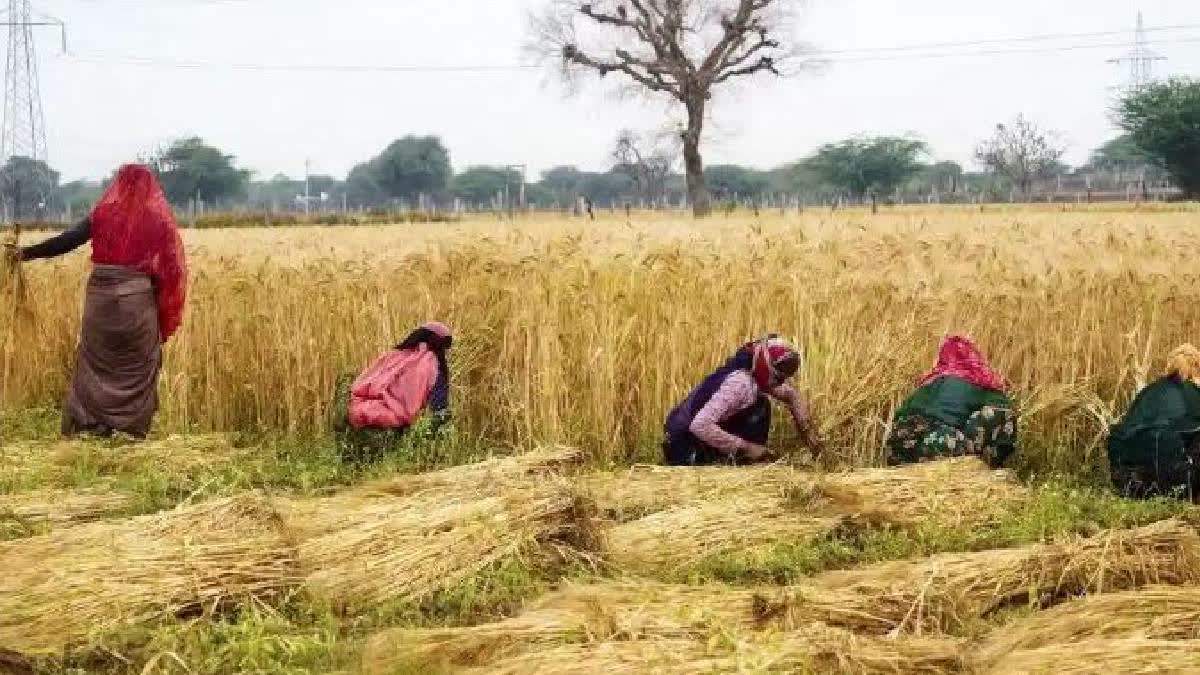 International Day Of Rural Women & Rashtriya Mahila Kisan Diwas Celebrated On October 15