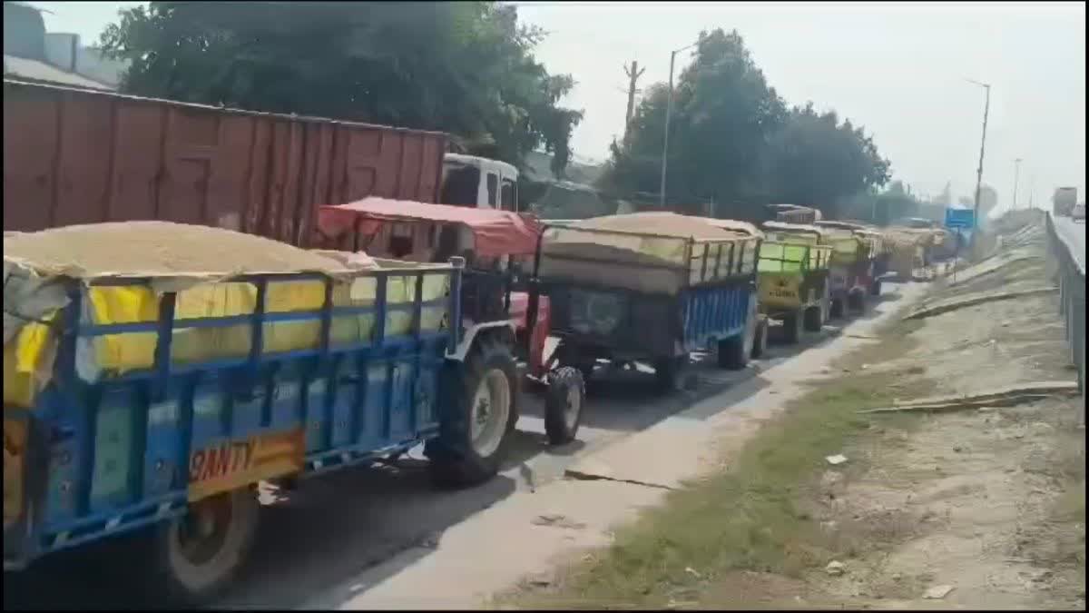 KARNAL GRAIN MARKET