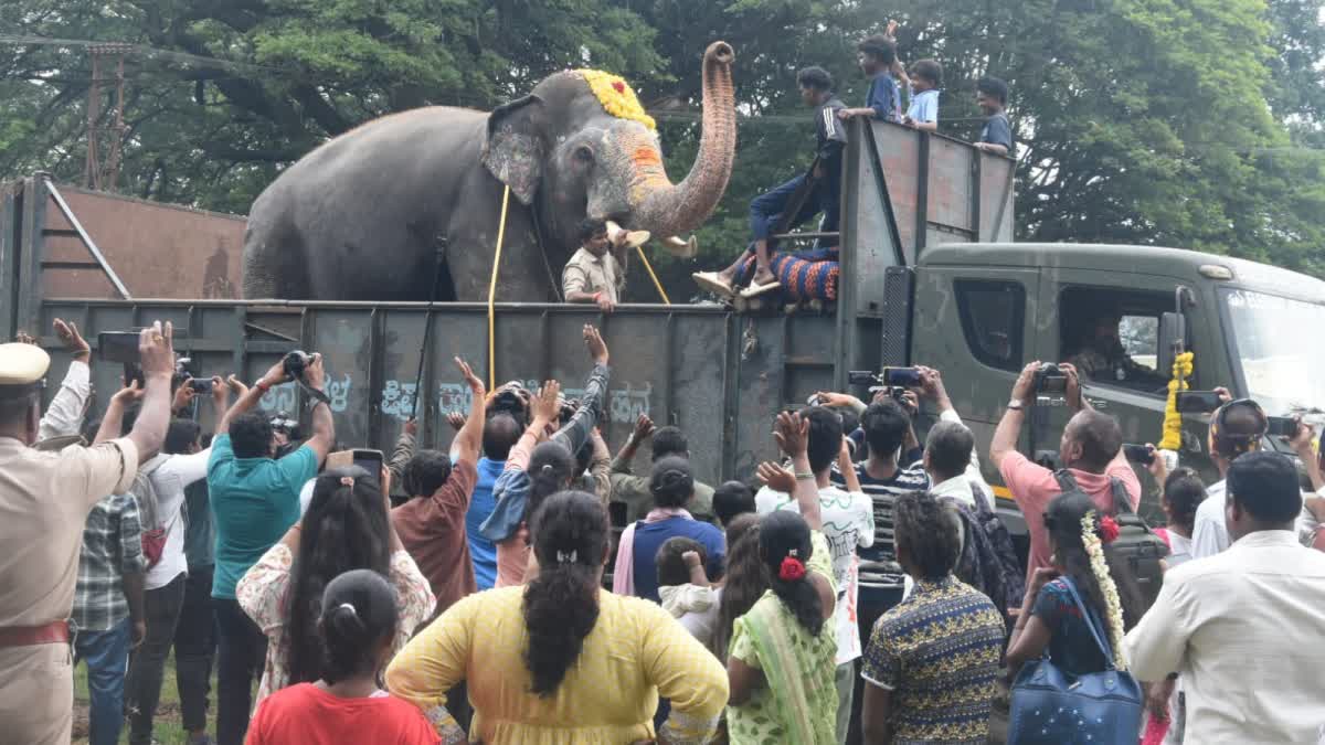 FAREWELL TO DASARA ELEPHANTS