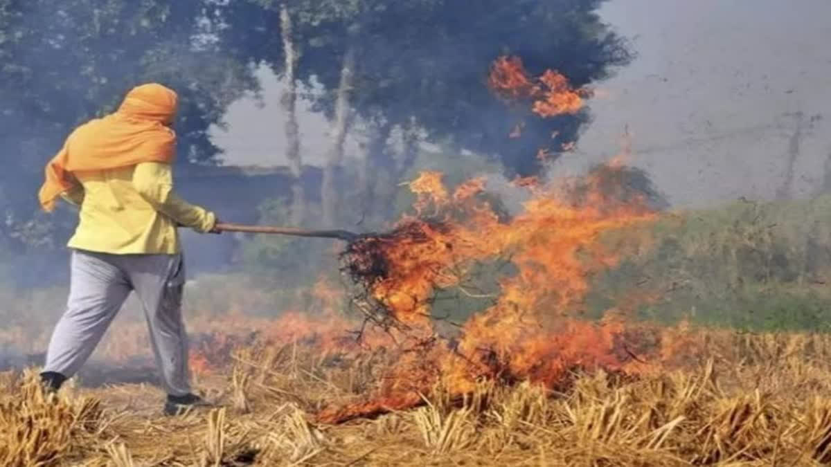 First FIR of stubble burning against a Farmer registered in Haryana Yamunanagar in 2024