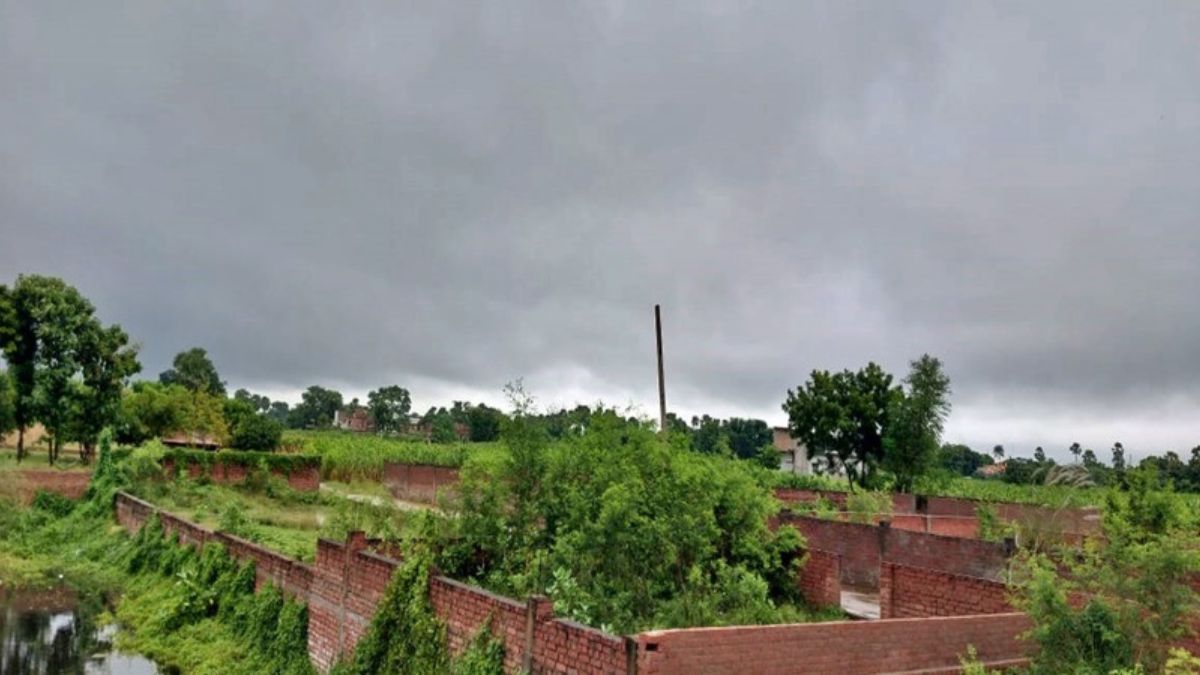 Rain In Bihar