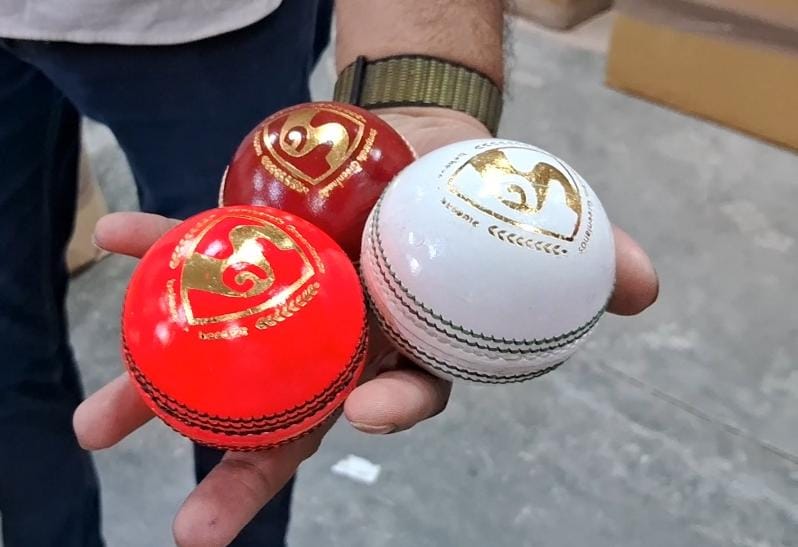 SG Cricket Balls