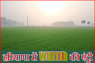 Winter season starts in Haryana