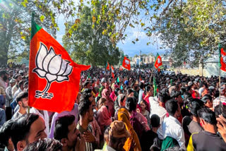 BJP supporters celebrate as party candidate Shagun Parihar wins from Kishtwar Assembly Constituency.