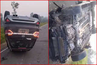 CAR COLLIDES WITH BUFFALOES