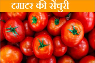 Tomato scored a century the budget went bankrupt before Diwali