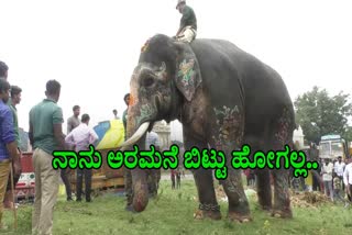 Elephant Ekalavya