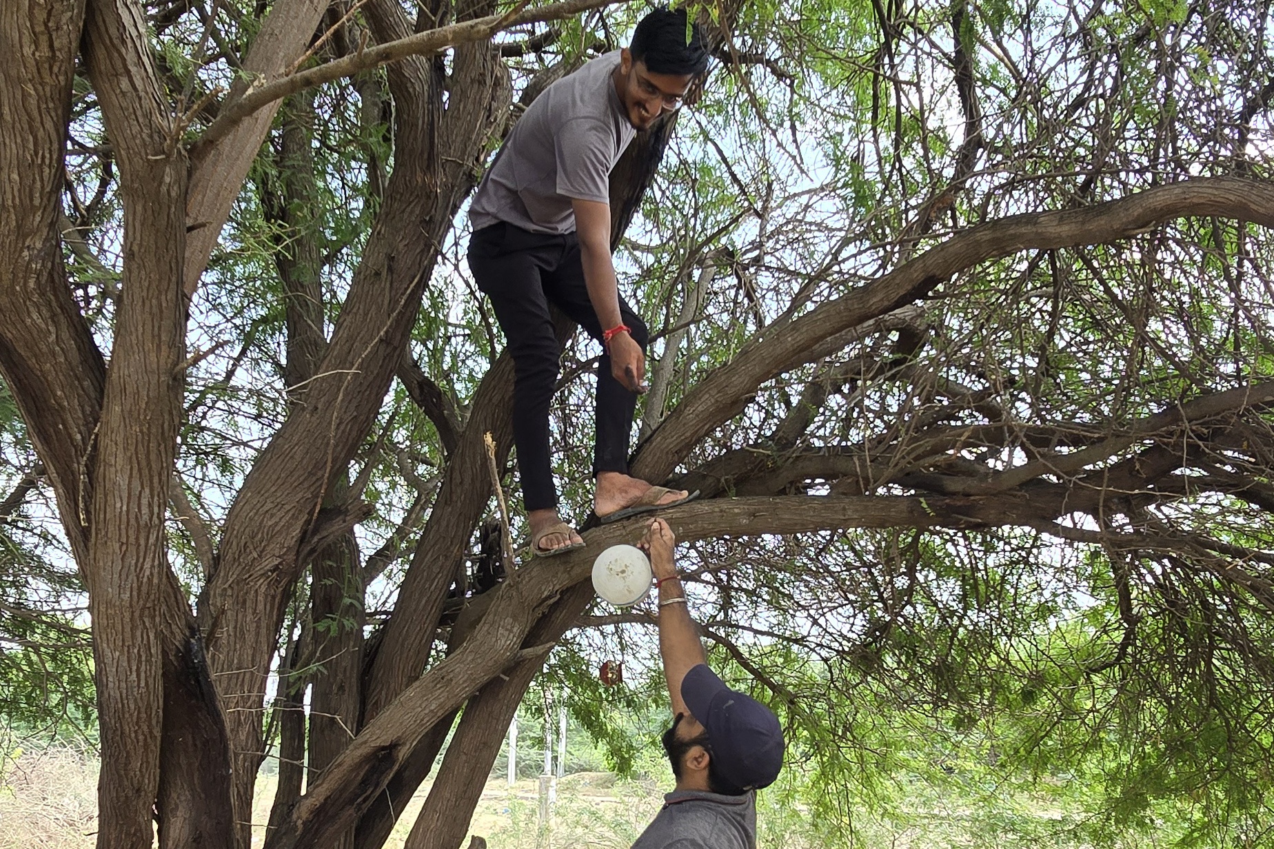 નવરાત્રીમાં સ્થાપિત થયેલ માતાજીના ગરબા બન્યા પક્ષીઓ માટે ઘર