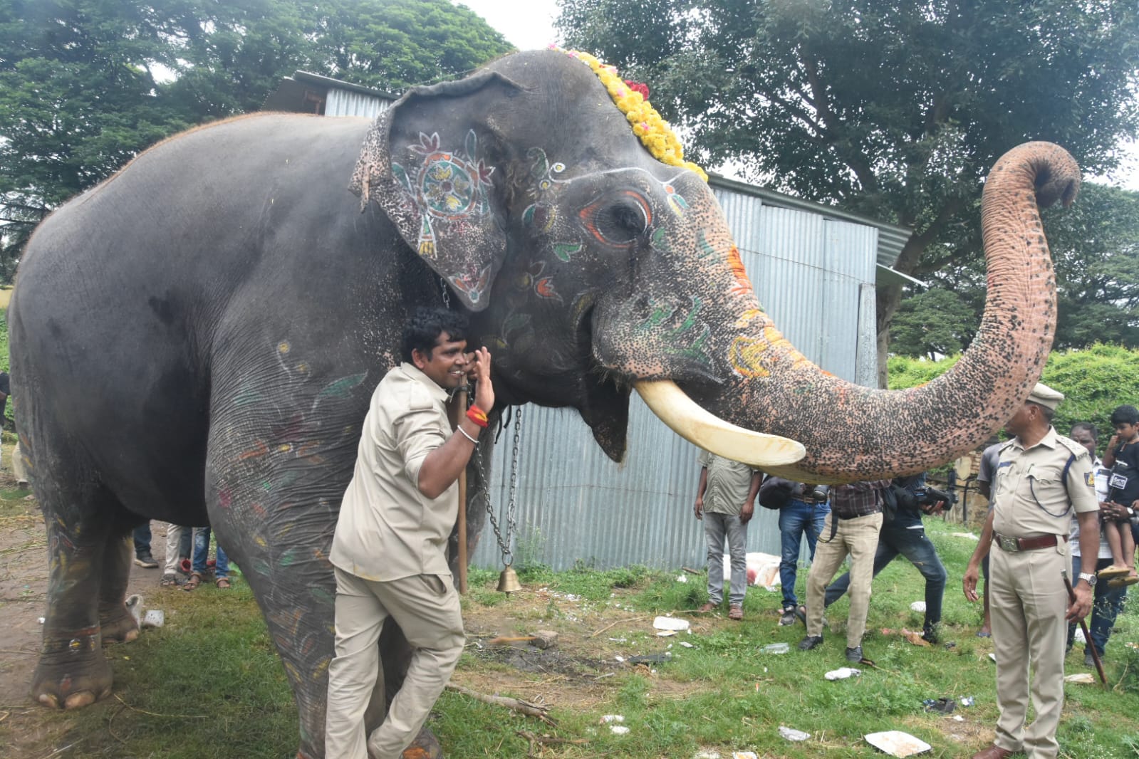 Farewell To Dasara Elephants