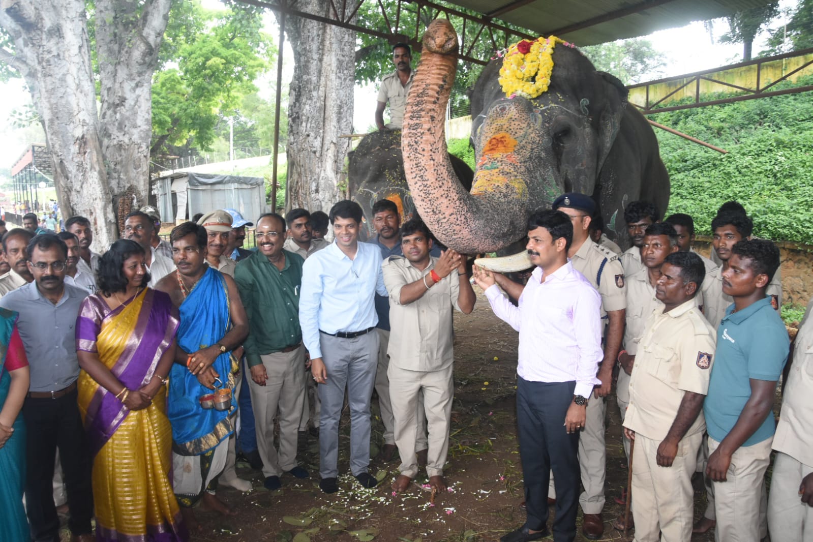 Farewell To Dasara Elephants