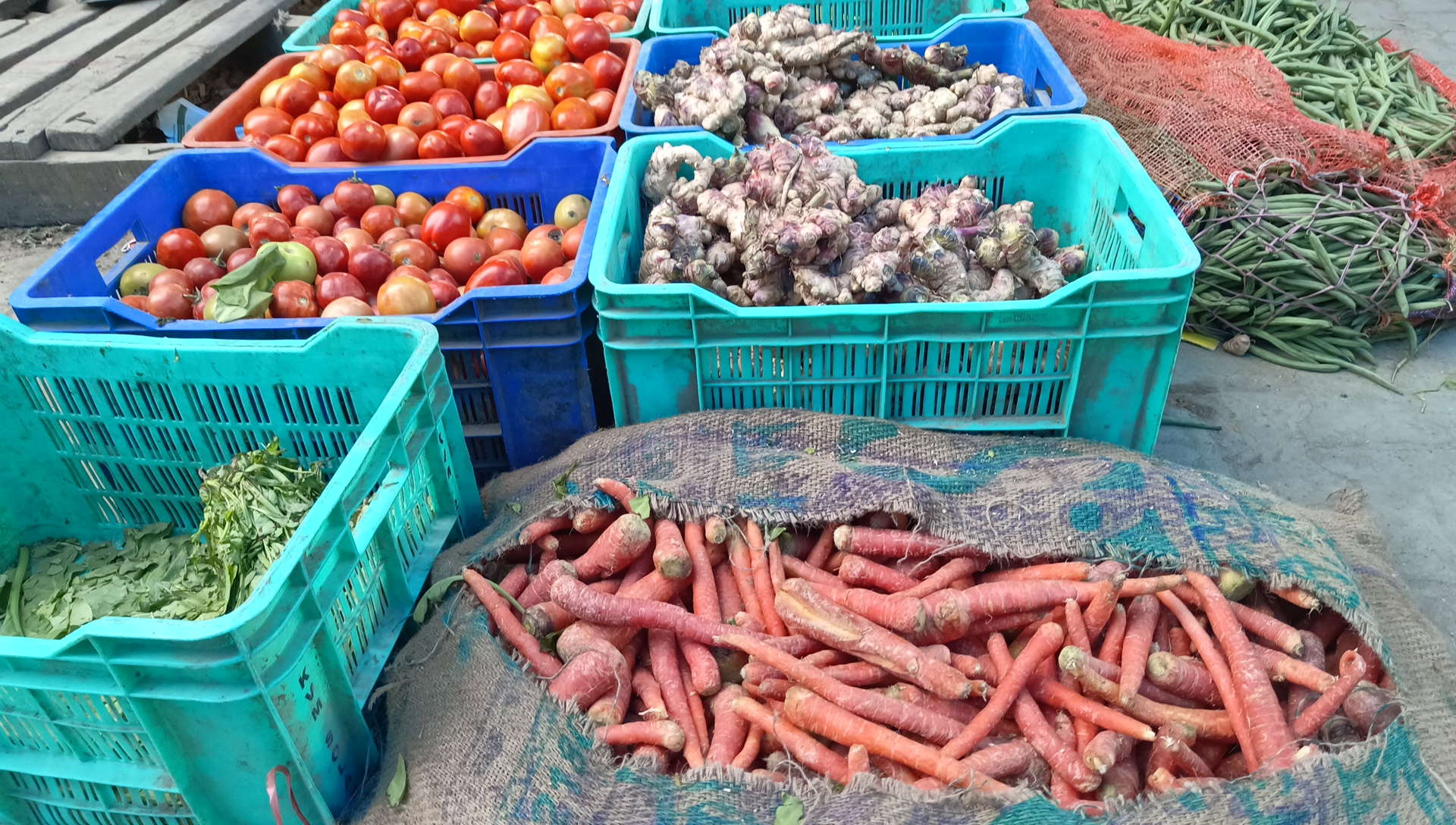 Vegetable Prices in Sabji Mandi Solan