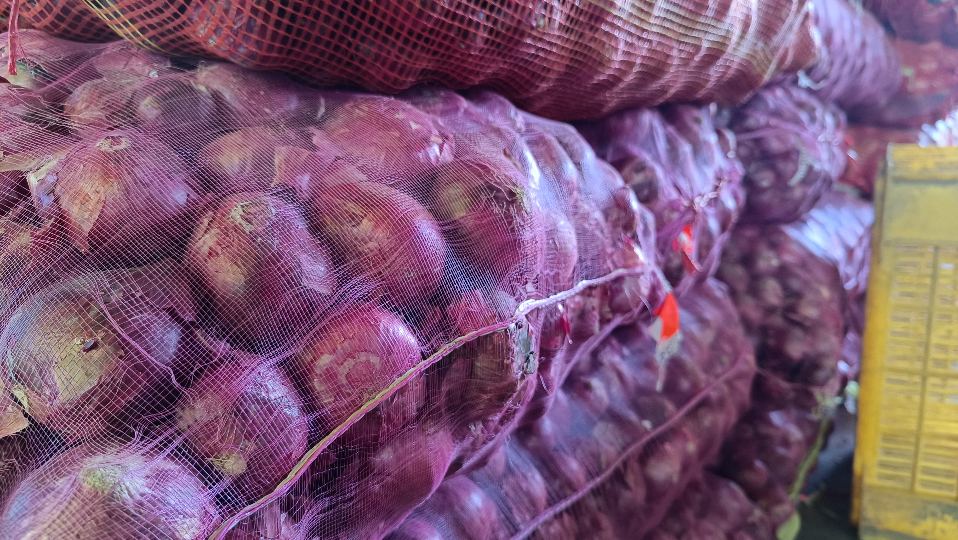 Rajasthani Onion Price Hike in Himachal