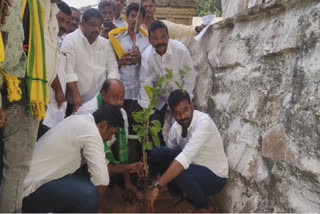 ten_thousand_planting_paritala