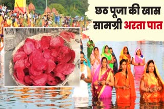 Chhath Puja 2023 Etv Bharat